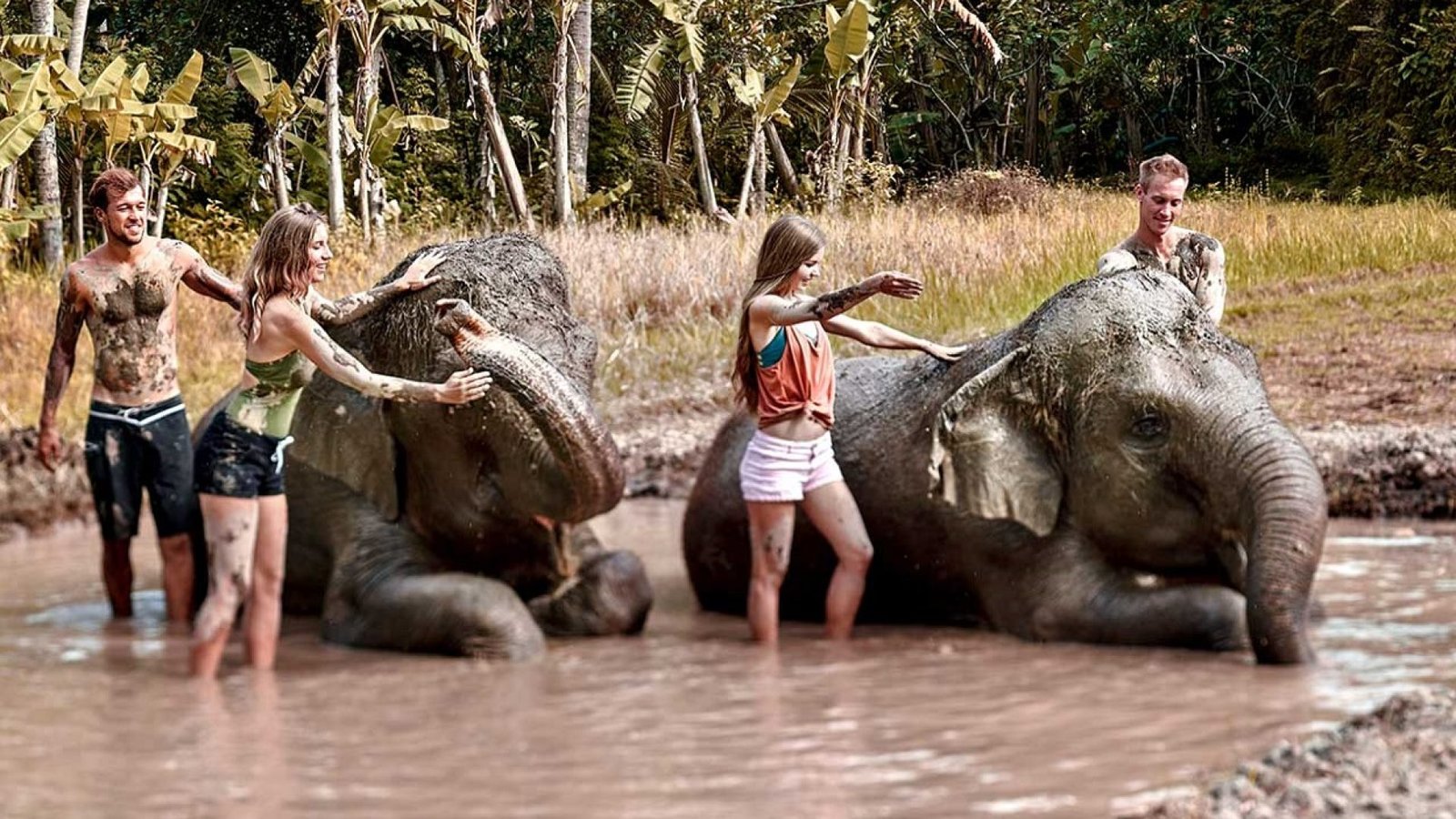 Elephant Mud Fun2