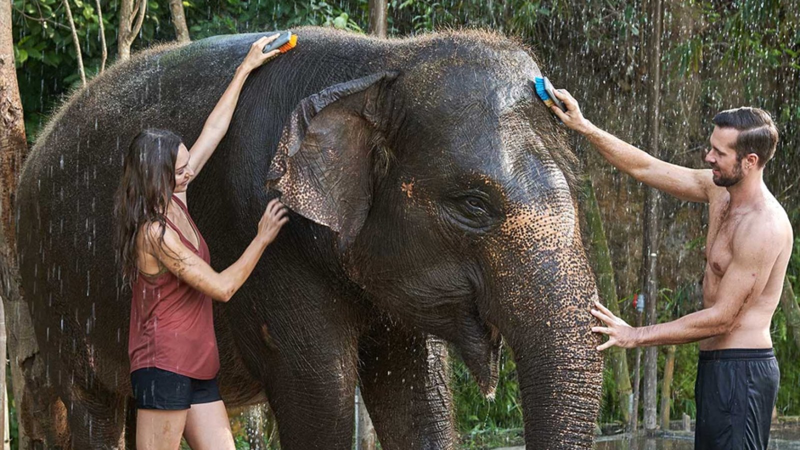 Elephant Mud Fun3