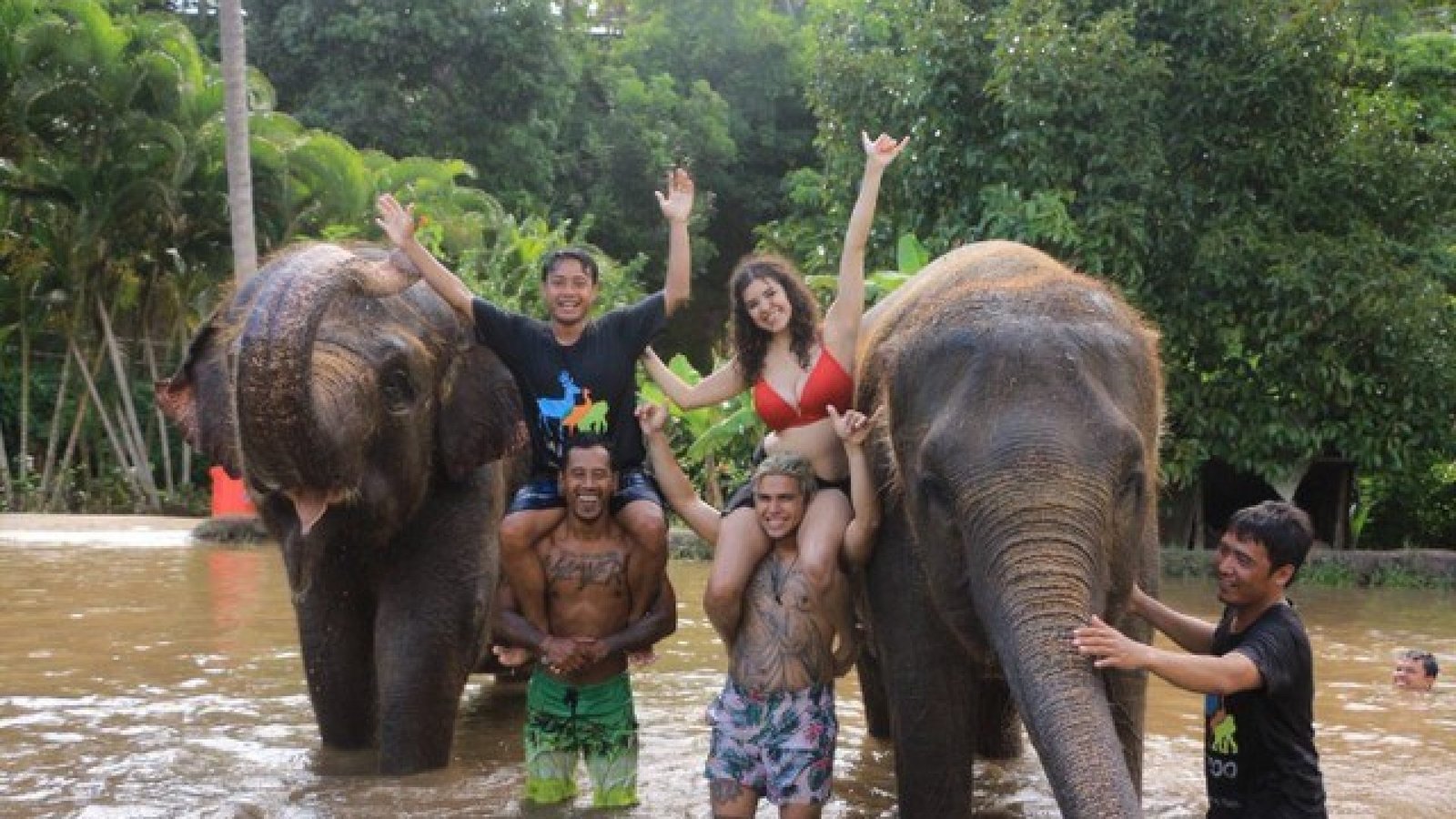 Elephant Mud Fun4