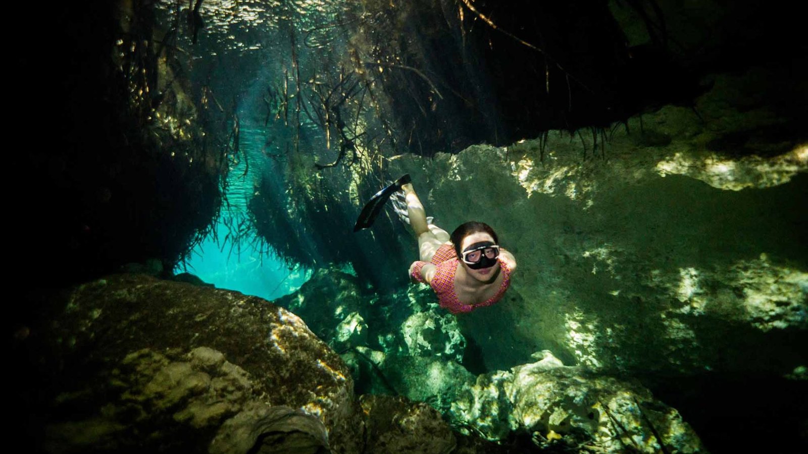Snorkeling (Mangrove)